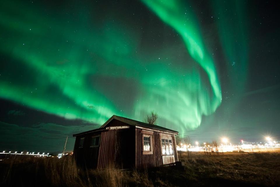 On Whaleisland Apartment
